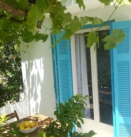 Thavma Summer House